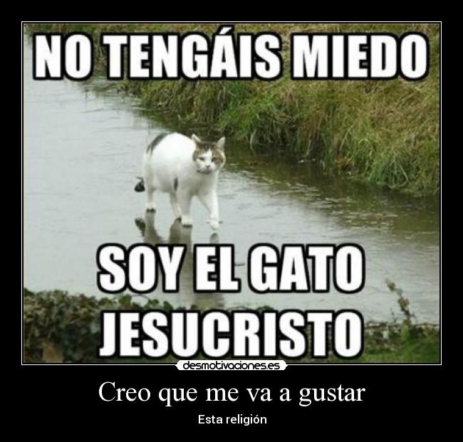 carteles dios gatostodo poderoso desmotivaciones