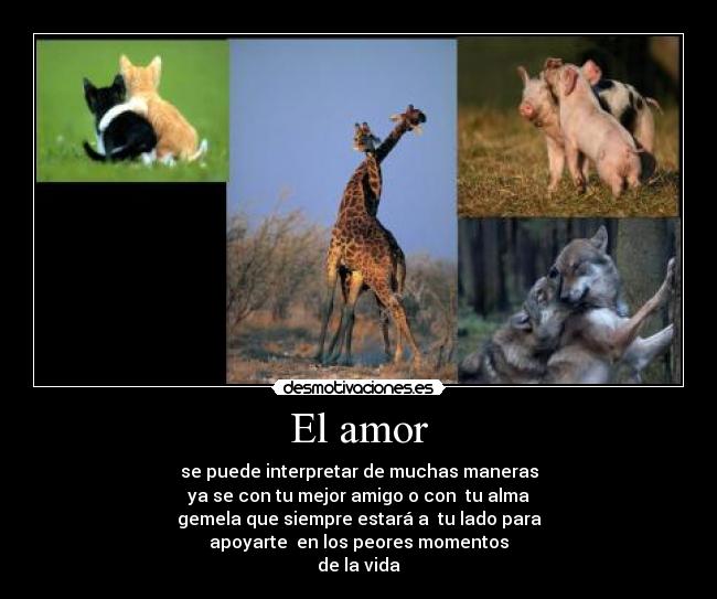 El amor - se puede interpretar de muchas maneras
ya se con tu mejor amigo o con tu alma
gemela que siempre estará a tu lado para
apoyarte en los peores momentos
de la vida