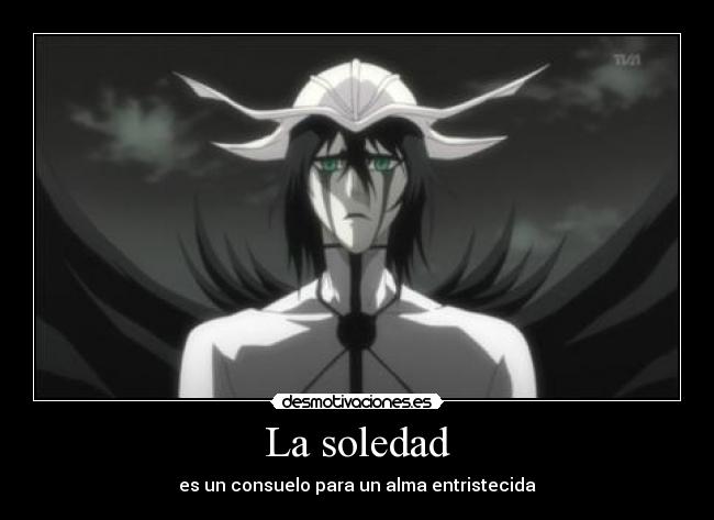 La soledad - es un consuelo para un alma entristecida