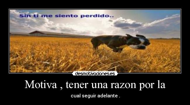 carteles ss1996 desmotivaciones