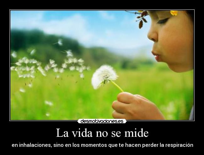 La vida no se mide - en inhalaciones, sino en los momentos que te hacen perder la respiración