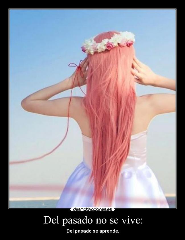 Del pasado no se vive: - Del pasado se aprende.