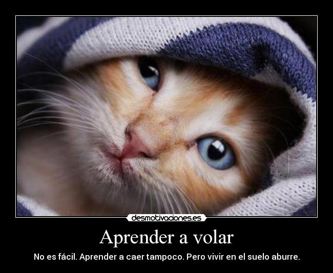 Aprender a volar - No es fácil. Aprender a caer tampoco. Pero vivir en el suelo aburre.
