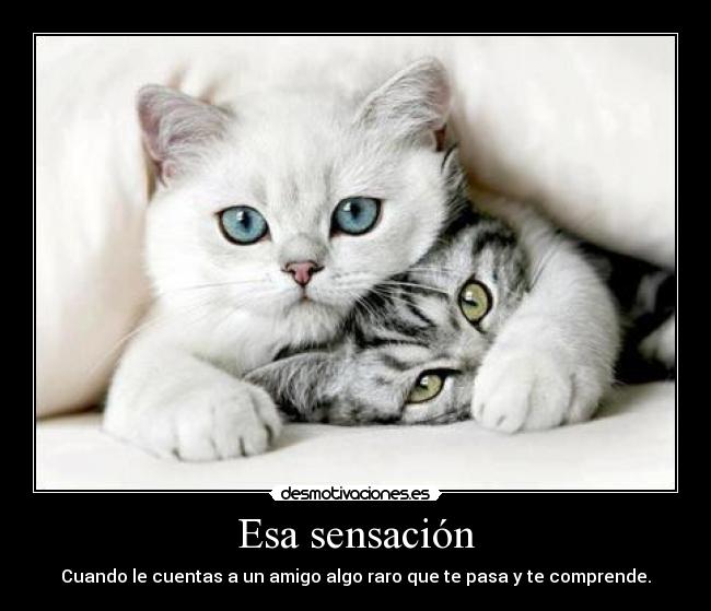 Esa sensación - Cuando le cuentas a un amigo algo raro que te pasa y te comprende.