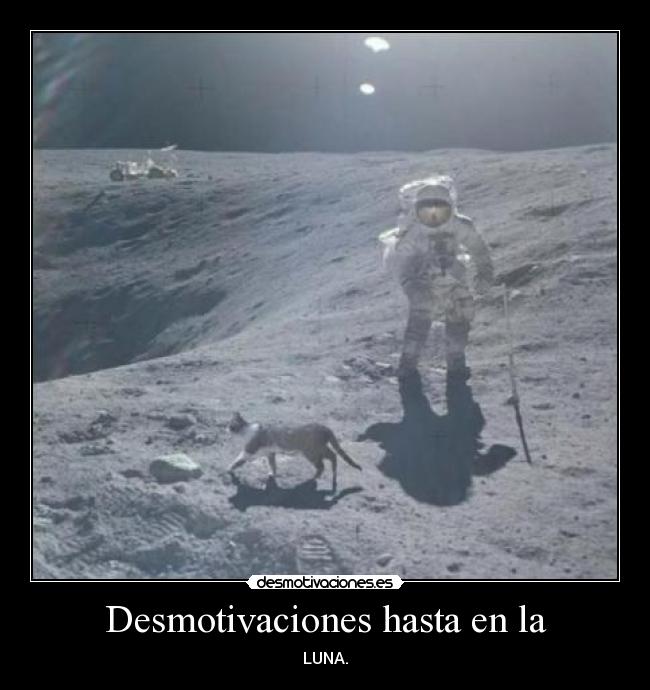 Desmotivaciones hasta en la - LUNA.