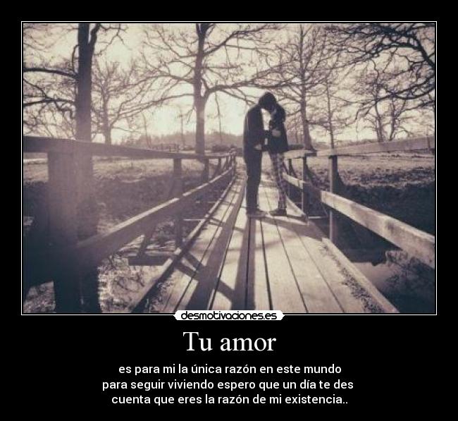 Tu amor - es para mi la única razón en este mundo
para seguir viviendo espero que un día te des 
cuenta que eres la razón de mi existencia..