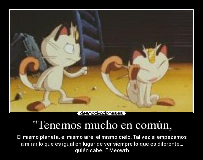 Tenemos mucho en común, - El mismo planeta, el mismo aire, el mismo cielo. Tal vez si empezamos
a mirar lo que es igual en lugar de ver siempre lo que es diferente...
quién sabe... Meowth