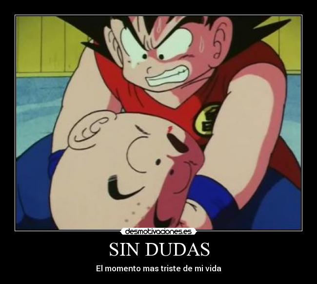 SIN DUDAS - 