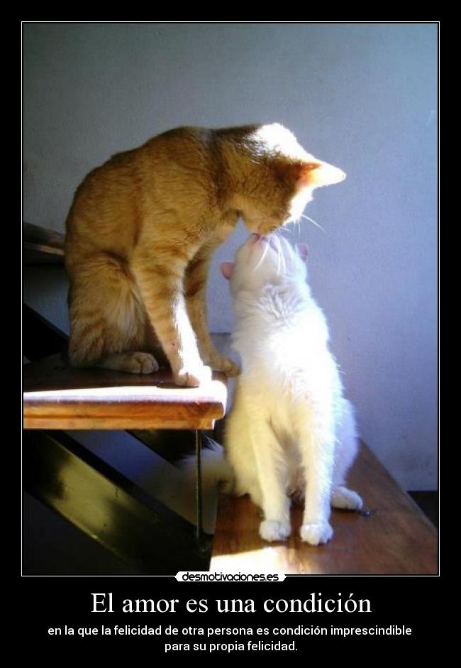 El amor es una condición - en la que la felicidad de otra persona es condición imprescindible
para su propia felicidad.