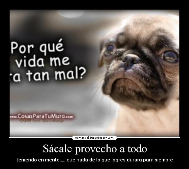 carteles  desmotivaciones