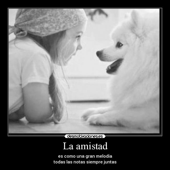 La amistad - es como una gran melodia
todas las notas siempre juntas