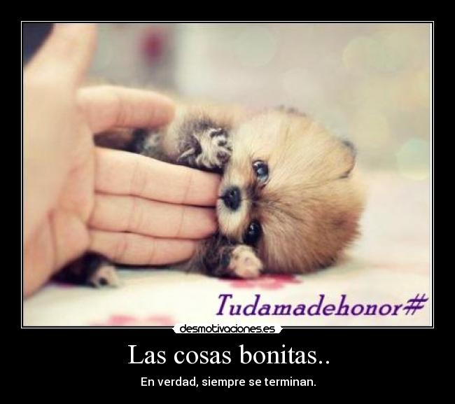 Las cosas bonitas.. - En verdad, siempre se terminan.