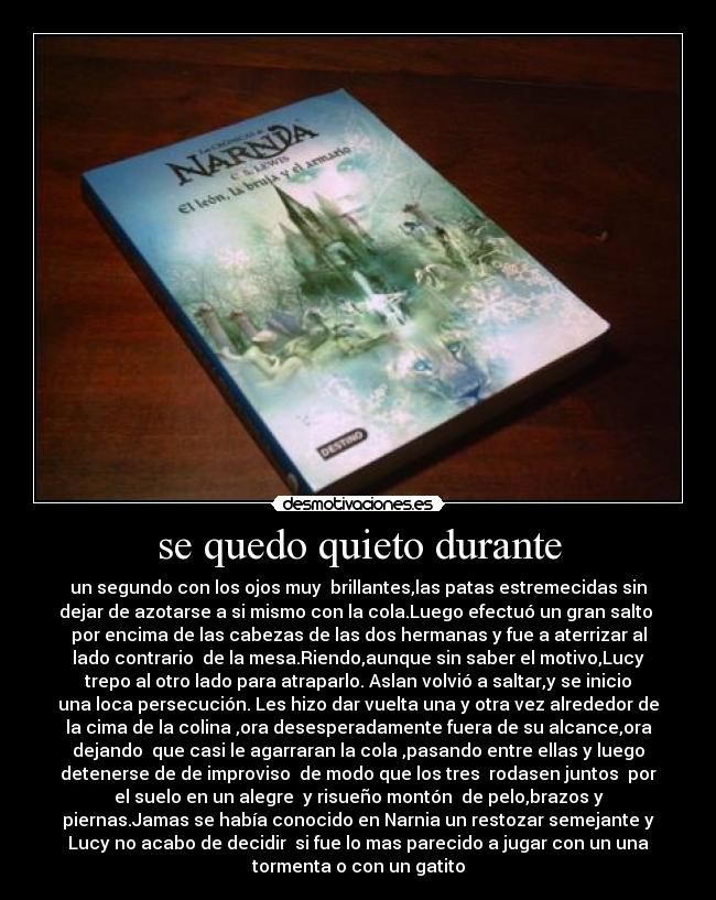 se quedo quieto durante -