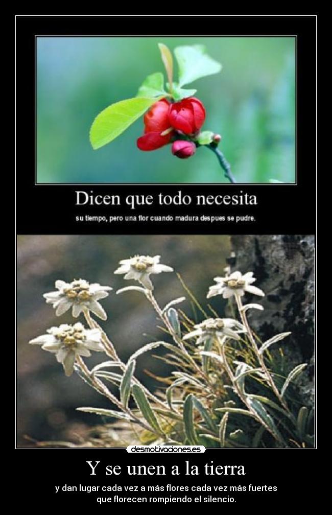 Y se unen a la tierra - 