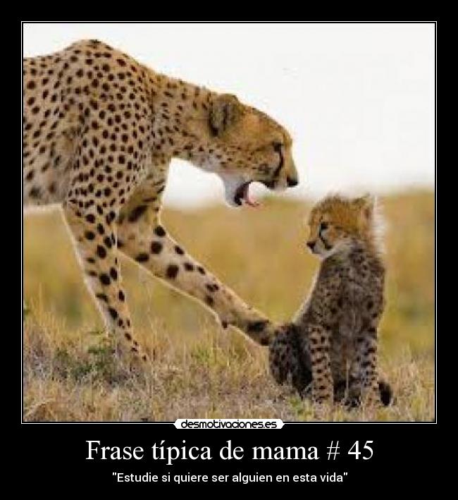Frase típica de mama # 45 -