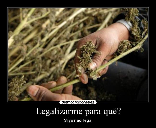 Legalizarme para qué? - Si yo nací legal