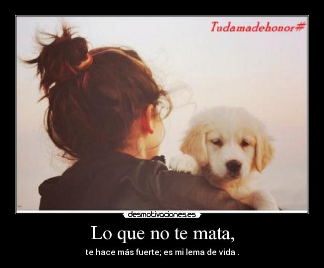 Lo que no te mata, - te hace más fuerte; es mi lema de vida .