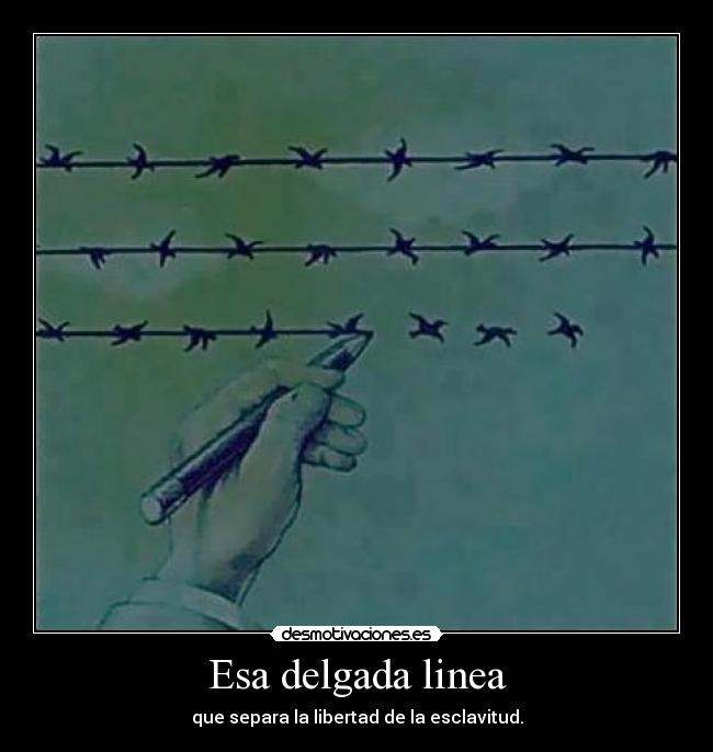 carteles cartel m18 true desmotivaciones