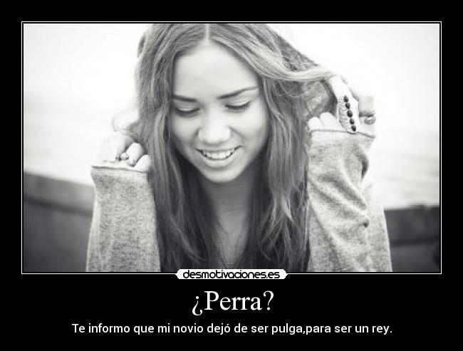 ¿Perra? - Te informo que mi novio dejó de ser pulga,para ser un rey.