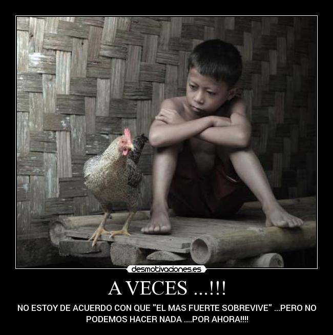 A VECES ...!!! - NO ESTOY DE ACUERDO CON QUE EL MAS FUERTE SOBREVIVE ...PERO NO
PODEMOS HACER NADA ....POR AHORA!!!!