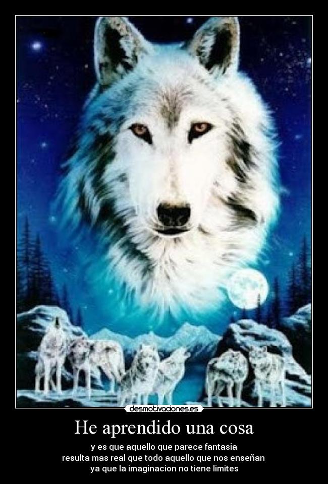 He aprendido una cosa - y es que aquello que parece fantasia
resulta mas real que todo aquello que nos enseñan
ya que la imaginacion no tiene limites