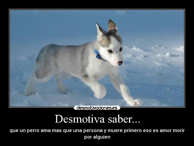 Desmotiva saber... -