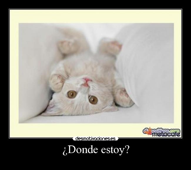 ¿Donde estoy? - 
