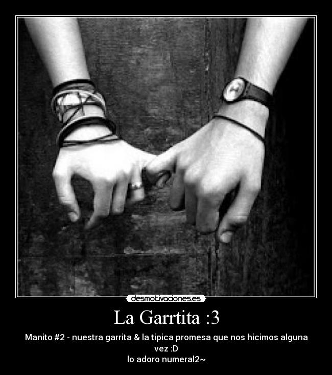 La Garrtita :3 -
