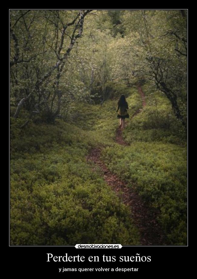 carteles perderte tus suenos desmotivaciones