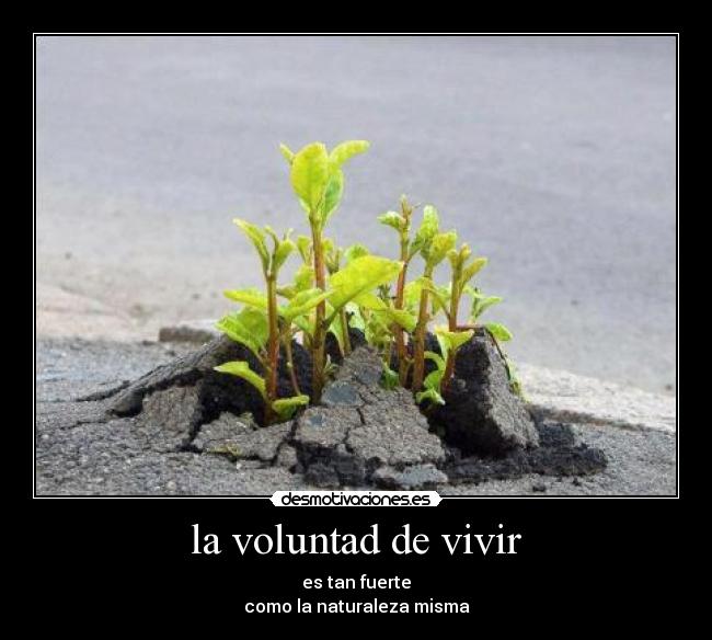 la voluntad de vivir -