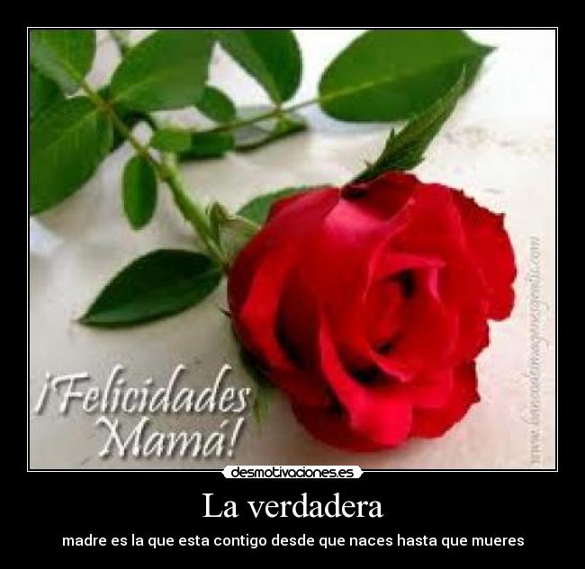 carteles sasukecamm wipol desmotivaciones