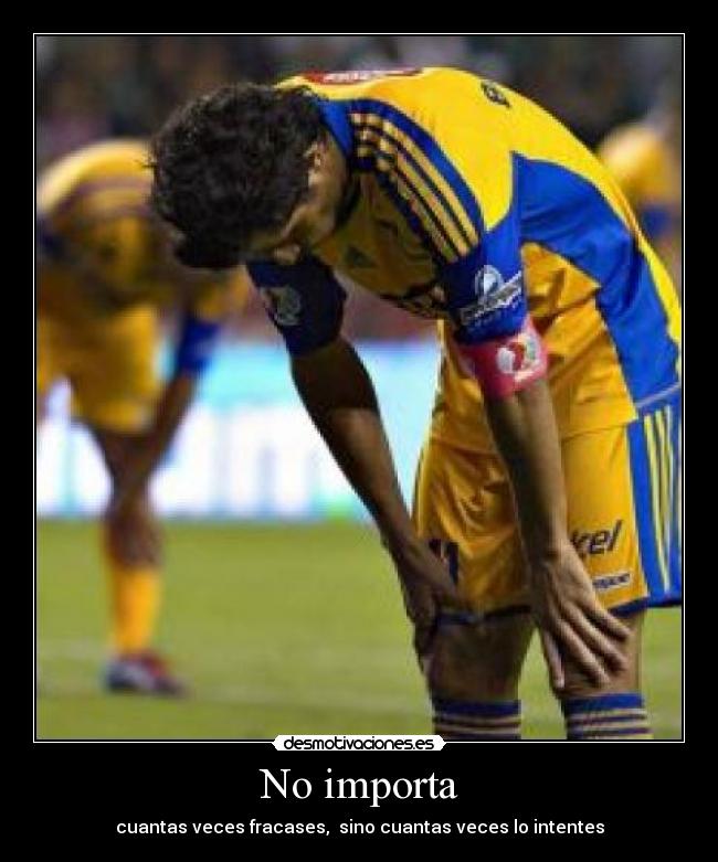 carteles tigres desmotivaciones