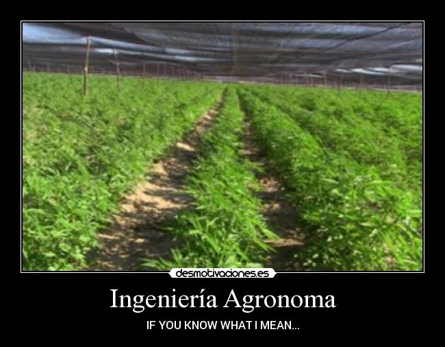 Ingeniería Agronoma - IF YOU KNOW WHAT I MEAN...