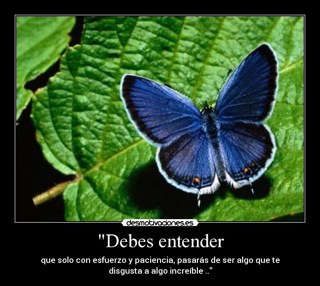 Debes entender - que solo con esfuerzo y paciencia, pasarás de ser algo que te
disgusta a algo increíble ..