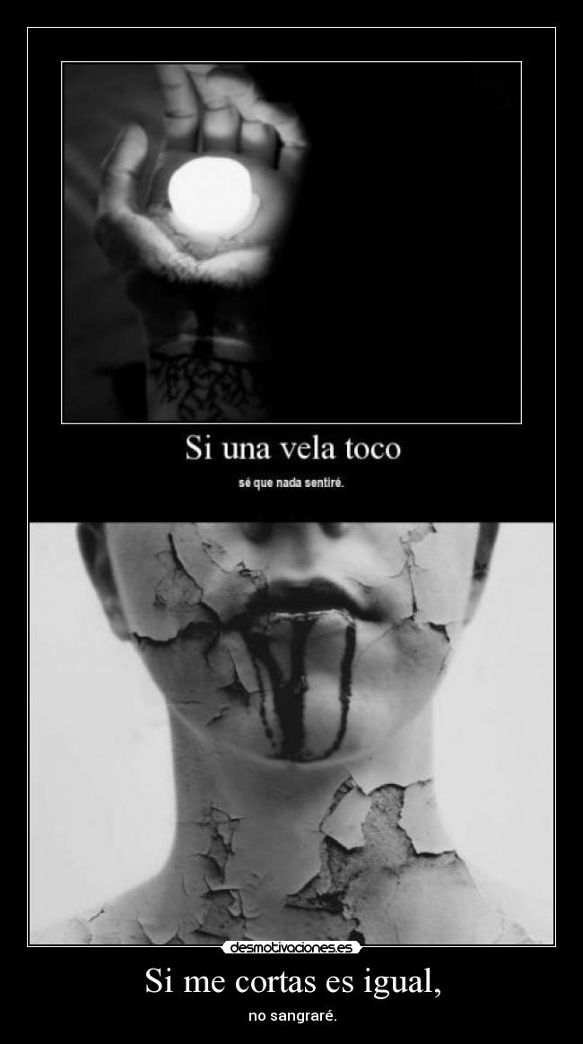 carteles shr novia cadaver cancion literal cosasmiasputo desmotivaciones