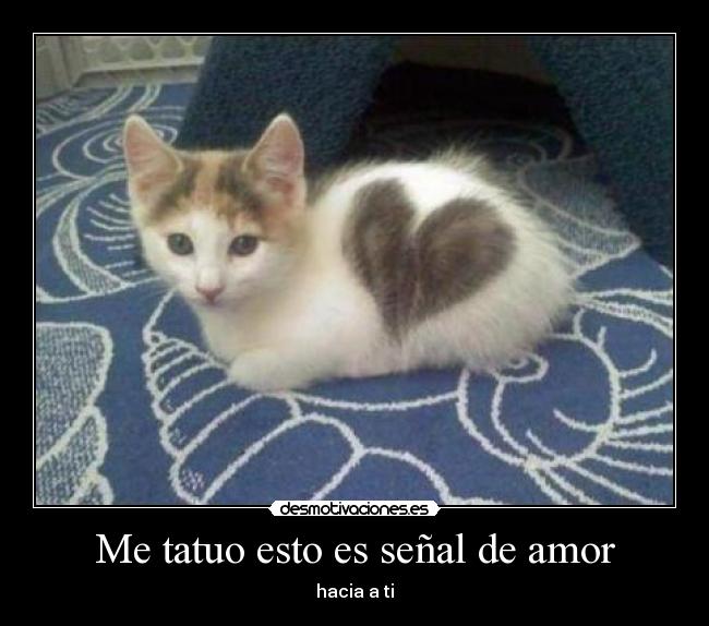 carteles amor tatuo esto senal amor hacia desmotivaciones
