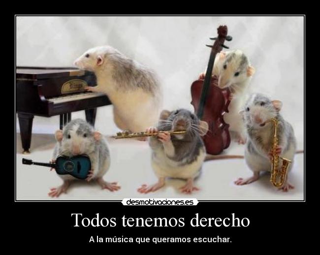 carteles musician mices desmotivaciones