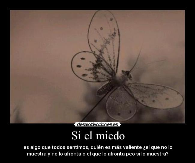 Si el miedo - es algo que todos sentimos, quién es más valiente ¿el que no lo
muestra y no lo afronta o el que lo afronta peo si lo muestra?