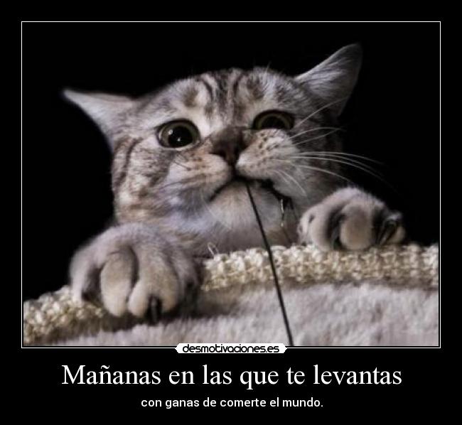 carteles mananas animo desmotivaciones