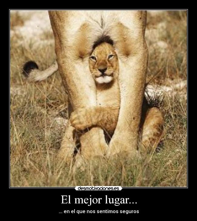 El mejor lugar... - ... en el que nos sentimos seguros