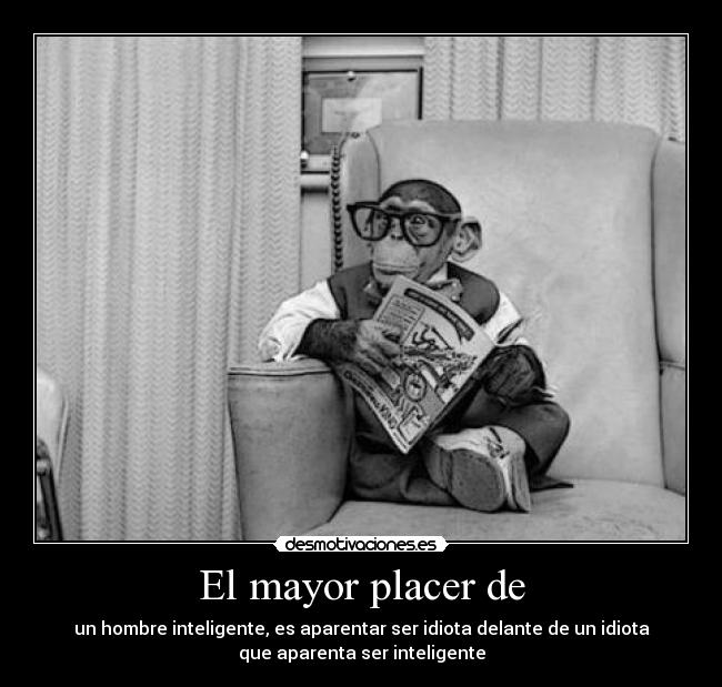 carteles mayor placer hombre inteligente idiotas joker guason mono mico desmotivaciones