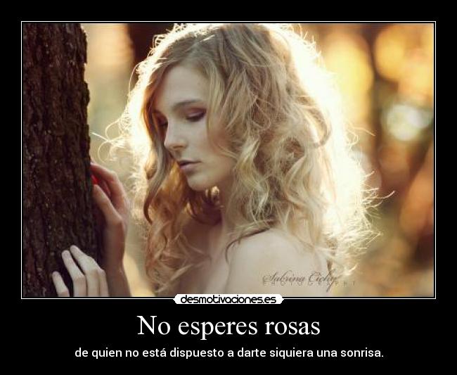 No esperes rosas - de quien no está dispuesto a darte siquiera una sonrisa.