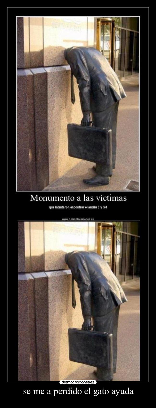 se me a perdido el gato ayuda -