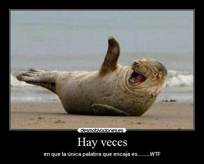 Hay veces - en que la única palabra que encaja es..........WTF