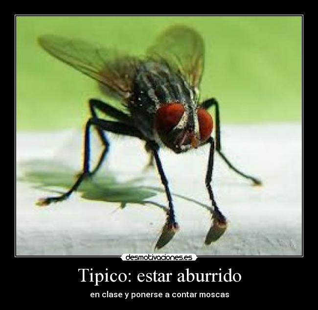 carteles pasa desmotivaciones