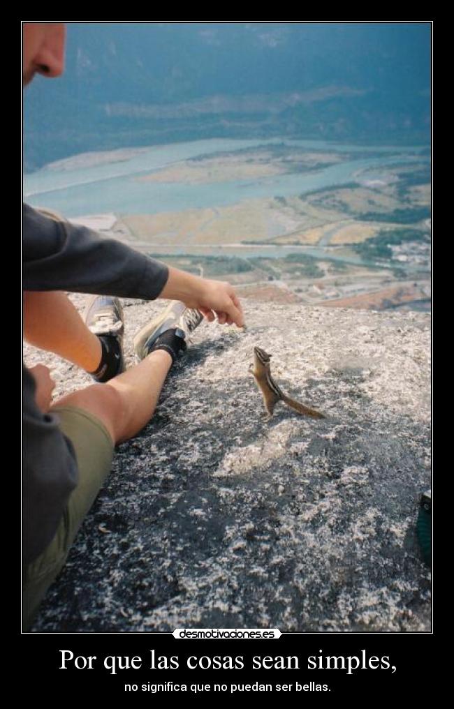 Por que las cosas sean simples, - 