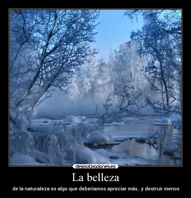 La belleza - de la naturaleza es algo que deberíamos apreciar más.. y destruir menos