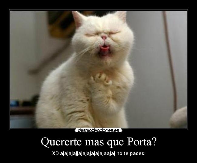 carteles gato desmotivaciones