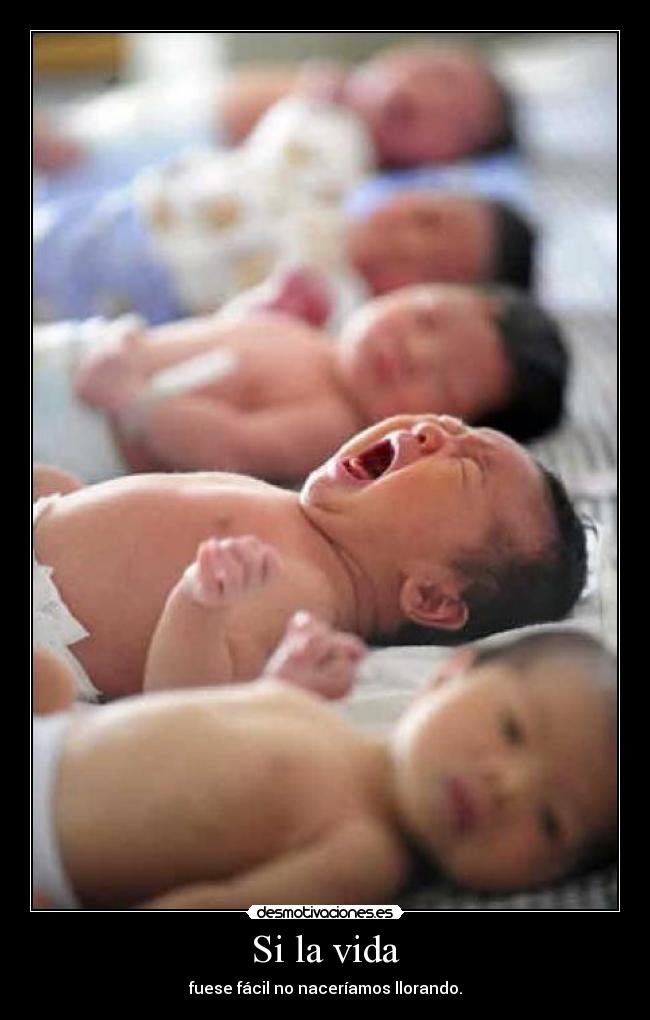 Si la vida -