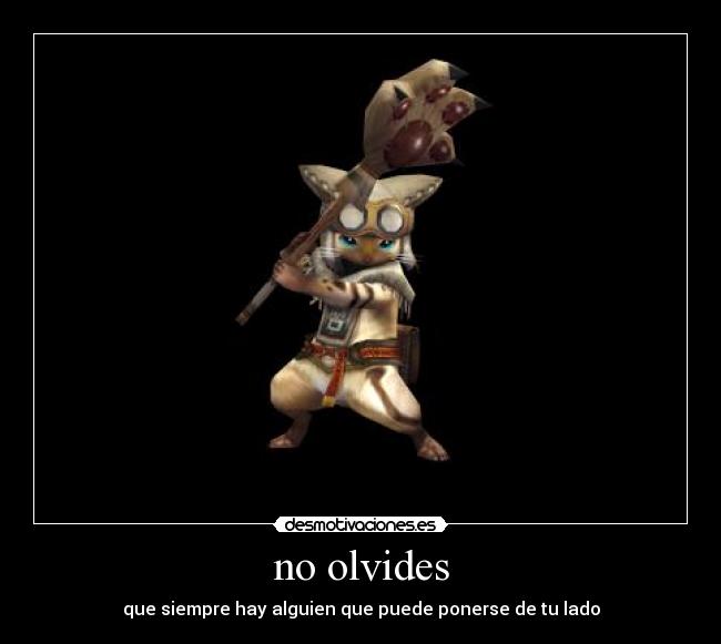 no olvides -